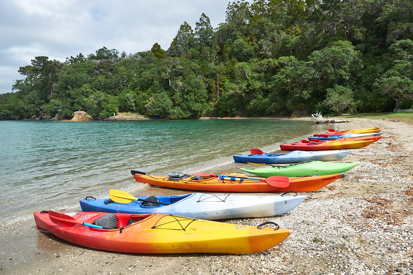 BEX_20210317_120151_Rutherford_kayaking_lowres