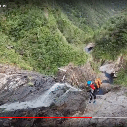 Screenshot from AST YouTube video