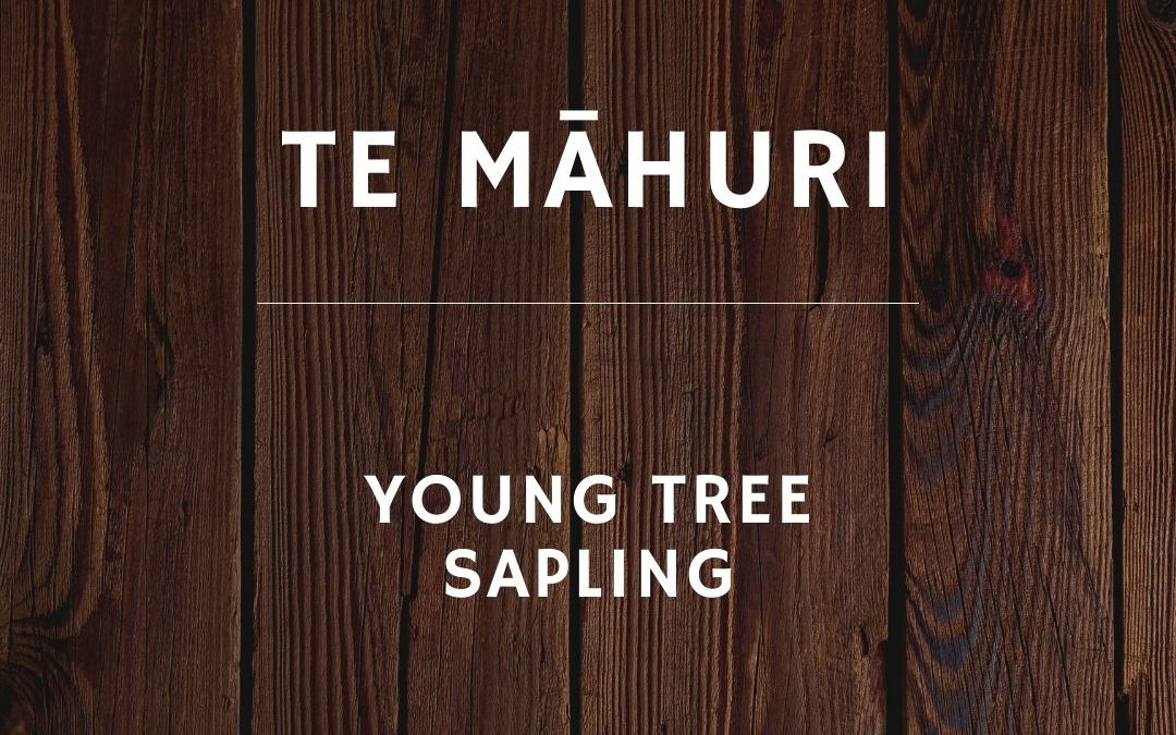 Māori word of the month: Te Māhuri