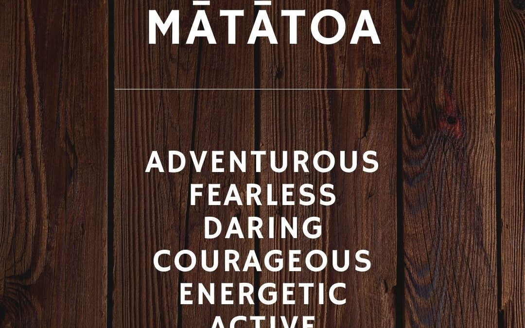 Māori Word of the Month: mātātoa