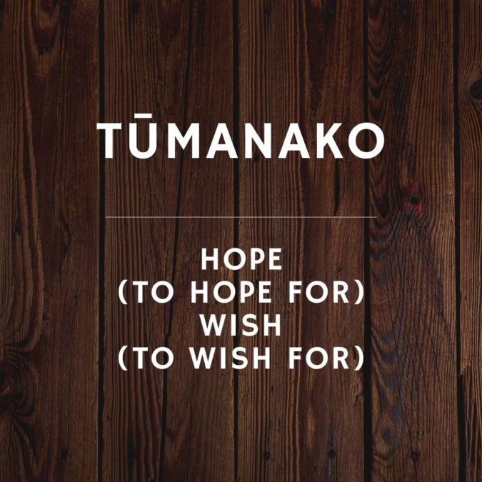 Tūmanako – Māori word of the month