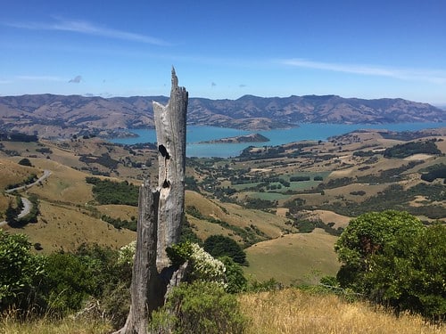 FEATURED HIKE: Montgomery Peak walk