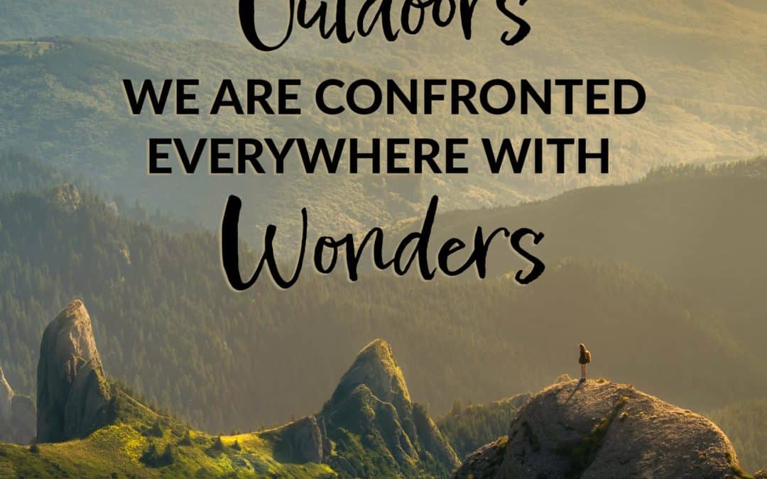 Outdoors we are confronted everywhere with wonders – Wendell Berry