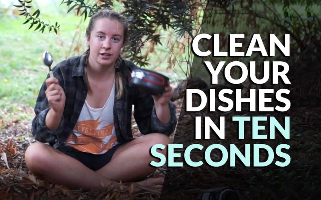 Clean your dishes in 10 seconds