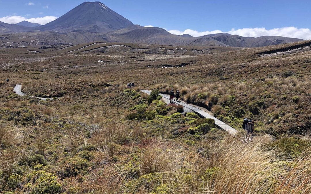 Tongariro National Park