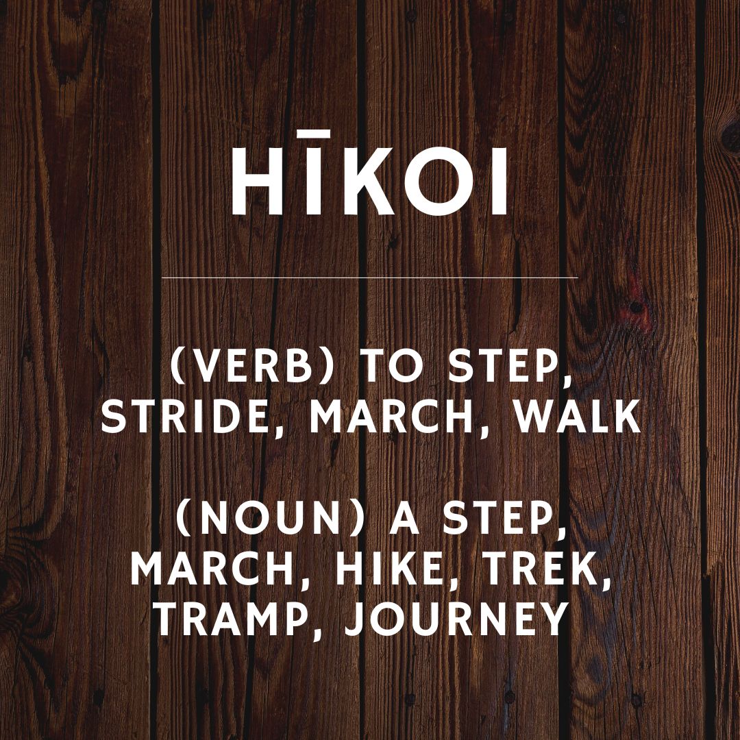 Māori Word of the Month: hīkoi